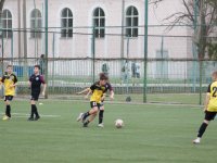 IMG_4533